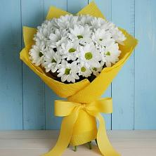 Букет цветов из:  Хризантемы в Лазаревское