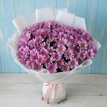 Букет цветов из:  Хризантемы #REPLACE_PRED# Лазаревское