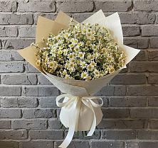 Букет цветов из:  Ромашки в Лазаревское