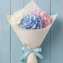 Букет цветов из:  Гортензия в Лазаревское