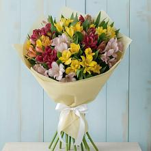 Букет цветов из:  Альстромерии в Лазаревское