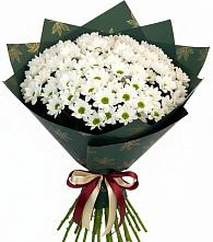 Букет цветов из:  Хризантемы в Лазаревское