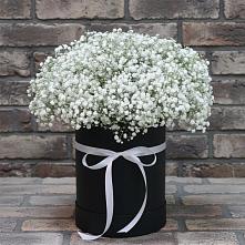 Цветочная композиция из Гипсофила в шляпной коробке в Лазаревское