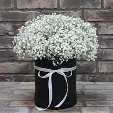 Цветочная композиция из Гипсофила в шляпной коробке в Лазаревское