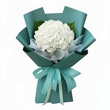 Букет цветов из:  Гортензия в Лазаревское